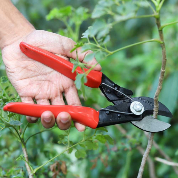 Plant cutter deals